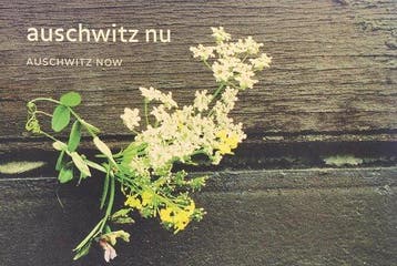 Auschwitz nu - J. Belinfante 9789080202955, Verzenden, Gelezen, J. Belinfante