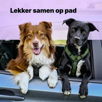 2dekans | Jake & Jacky Anti-Trek Hondentuig Y-model - Zacht, Ophalen of Verzenden, Zo goed als nieuw