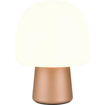 LED Tafellamp - Trion Umbra - E14 Fitting - 1 lichtpunt -, Huis en Inrichting, Lampen | Tafellampen, Ophalen of Verzenden, Nieuw