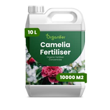 Camellia Vloeibare meststof - 10 liter, Verzenden, Mest