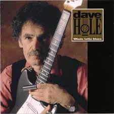 cd - Dave Hole - Whole Lotta Blues, Verzenden, Zo goed als nieuw