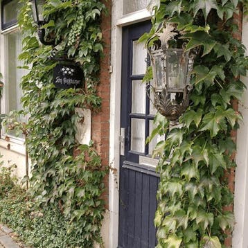 Kamer in Helmond gevonden voor €650,- pm, Minder dan 20 m², Overige regio's