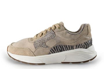 Xsensible Sneakers in maat 41 Beige, Kleding | Dames, Xsensible, Verzenden, Beige, Sneakers of Gympen