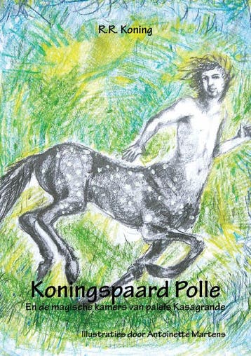 Koningspaard Polle - R.R. Koning 9789402230468, Boeken, Verzenden, Zo goed als nieuw, R.R. Koning