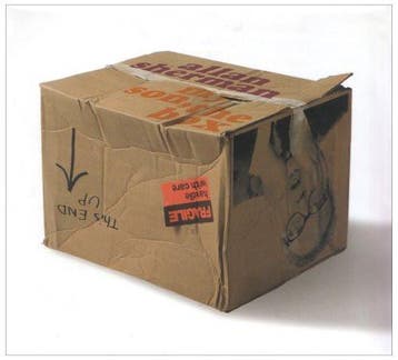 cd box - Allan Sherman - My Son, The Box, Verzenden, Zo goed als nieuw