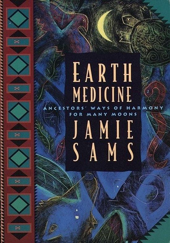 Earth Medicine - Jamie Sams 9780062510631, Boeken, Taal | Engels, Gelezen, Verzenden