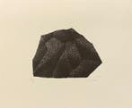 Raoul Ubac (1910-1985) - Silex 1