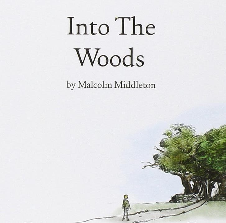 cd - Malcolm Middleton - Into The Woods, Cd's en Dvd's, Cd's | Overige Cd's, Zo goed als nieuw, Verzenden