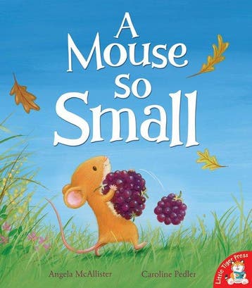 Mouse So Small - Angela McAllister 9781848691322, Verzenden, Gelezen, Angela McAllister