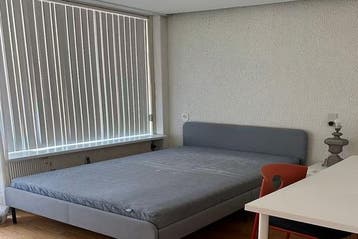 Kamer s-Gravensingel in Rotterdam, 20 tot 35 m², Rotterdam