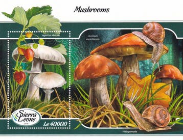 Sierra Leone - 2018 - Paddestoelen - Postfris, Verzenden, Postfris, Dier of Natuur