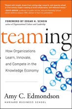 Teaming 9780787970932 Amy C Edmondson, Verzenden, Gelezen, Amy C Edmondson