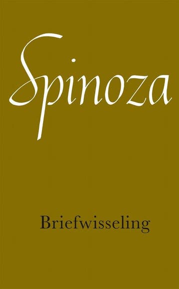 Briefwisseling - Benedictus de Spinoza - 9789028415973 - Pap, Boeken, Verzenden, Nieuw