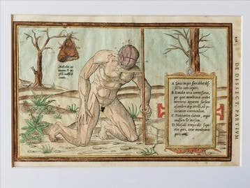 Charles Estienne - De dissectione partium corporis humani