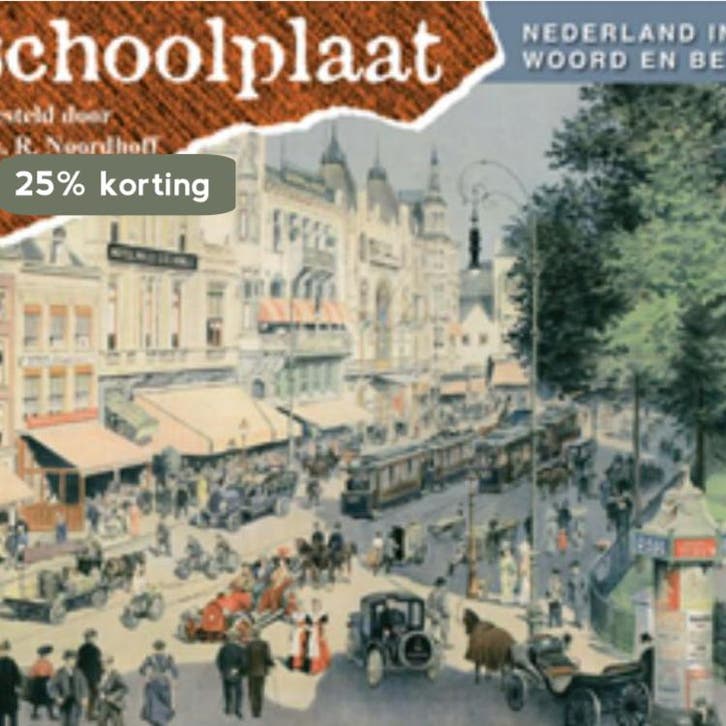 De Schoolplaat Nederland in woord en beeld II / Nederland in, Boeken, Geschiedenis | Vaderland, Zo goed als nieuw, Verzenden