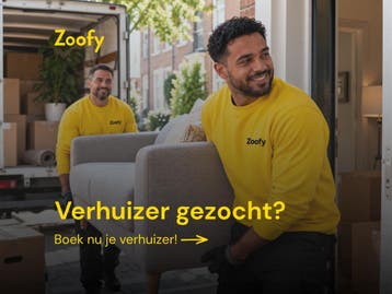 Verhuizer gezocht? Boek nu online, vandaag nog geregeld!, Verhuizen binnen Nederland