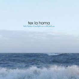 cd digi - Tex La Homa - Little Flashes Of Sunlight On A C..., Verzenden, Zo goed als nieuw