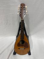 Musikschule E. Max Kunde - - Mandoline - Zwitserland - 1970, Nieuw