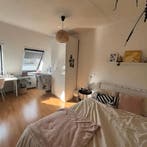 Kamer in Tilburg gevonden voor €450,- pm, Minder dan 20 m², Tilburg