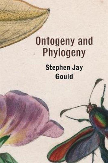 Ontogeny and Phylogeny - Stephen Jay Gould 9780674639416, Boeken, Verzenden, Gelezen, Stephen Jay Gould
