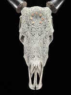 Geen reserveprijs - Uitgebeitelde grijze koe schedel met