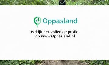 Ninja zoekt een oppas in Gorinchem voor 1 kind op maandag., Vacatures, Vacatures | Gezondheidszorg