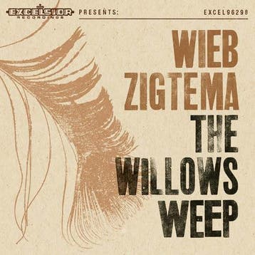 cd - Wieb Zigtema - The Willows Weep, Verzenden, Zo goed als nieuw