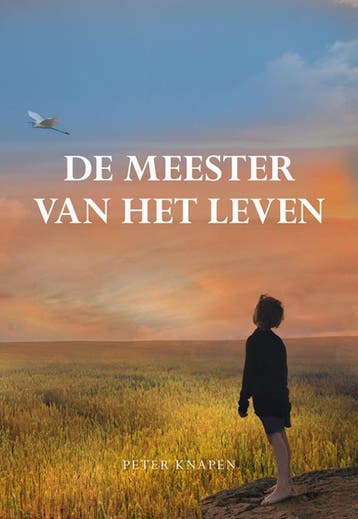 De meester van het leven - Peter Knapen 9789463652926, Verzenden, Gelezen, Peter Knapen