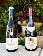 2022 Domaine Fontaine-Gagnard, Chassagne-Montrachet 1er Cru, Nieuw