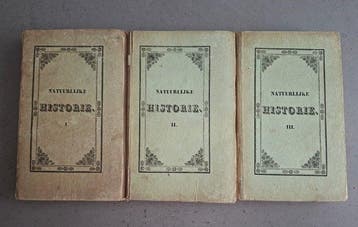 Hapsels - Natuurlijke historie, of Beschrijving der
