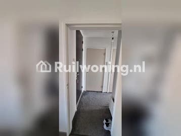 Geweldige flat voor eenpersoonsleven (Den Haag), Den Haag