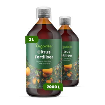 Citrus Vloeibare meststof - 2x1 liter, Verzenden, Mest