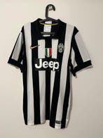 Juventus - Italiaanse voetbal competitie - Fernando Llorente, Nieuw