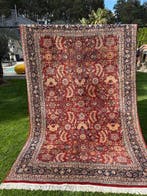 Uniek Indo-Bidjar tapijt - Tapijt - 300 cm - 200 cm, Nieuw