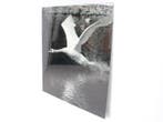 Wanddecoratie aluminium dibond - 203x181cm (hxb), Werkplek, Ophalen of Verzenden, Gebruikt, Overige typen