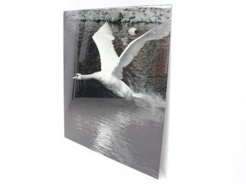 Wanddecoratie aluminium dibond - 203x181cm (hxb), Werkplek, Ophalen of Verzenden, Gebruikt, Overige typen
