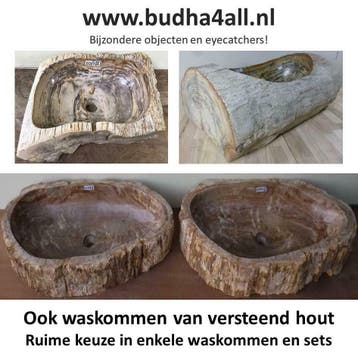 Waskom versteend hout, wasbak, miljoenen jaren oud, uniek, Nieuw, Minder dan 100 cm, Wasbak of Wastafel, 25 tot 50 cm