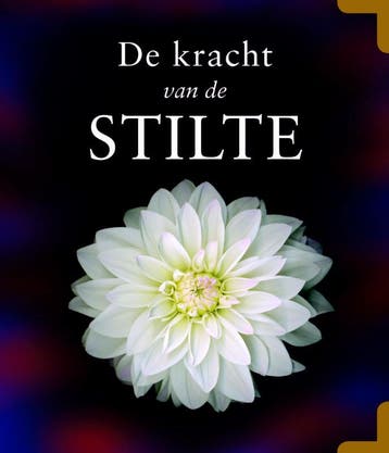 De kracht van de stilte - V. Eswaran 9789045306315, Verzenden, Zo goed als nieuw, V. Eswaran
