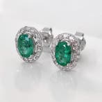 Zonder minimumprijs - Oorbellen - 14 karaat Zambia, Witgoud, Nieuw