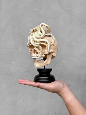 Snijwerk, NO RESERVE PRICE - Stunning Tamarind Wood Skull