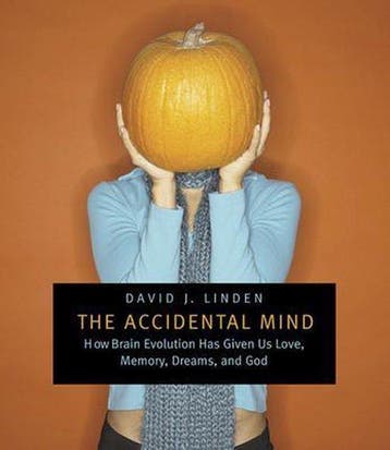 The Accidental Mind - David J. Linden - 9780674030589 - Pape, Verzenden, Nieuw
