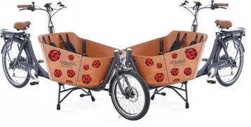 Lieveheersbeestjes ladybug decoratiesticker set (1185.BF05), Verzenden, Nieuw, Overige typen