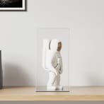 vidaXL Vitrine transparant 20x20x38 cm acryl, Huis en Inrichting, Verzenden, Nieuw