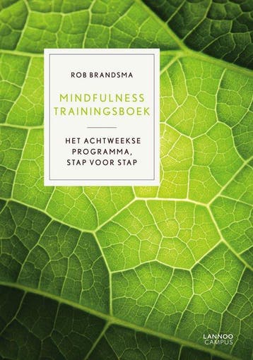 9789401406284 Mindfulness trainingsboek | Tweedehands, Boeken, Verzenden, Zo goed als nieuw, Rob Brandsma