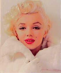 Miltons Marilyn - James L. Gould 9783888147388, Verzenden, Gelezen, James L. Gould