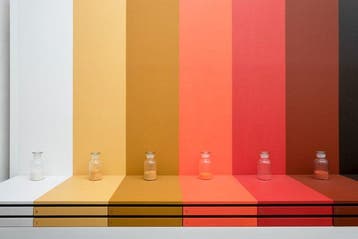CLAUDIA COSTANTINO - I COLORI NATURALI
