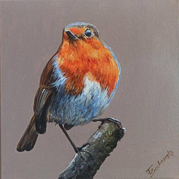 Tomasz Bednarski (1965) - Robin