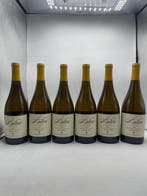 2020 Antica Napa Valley Chardonnay - Napa Valley - 6 Flessen, Nieuw