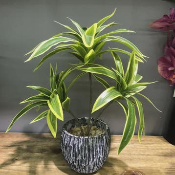 Kunstplant 36cm met 3 Bamboe-achtige Takken - Tropische Deco, Verzenden, Nieuw