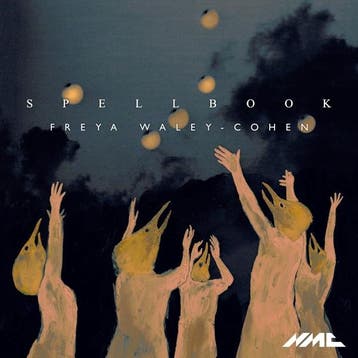 cd - freya waley-cohen &amp; manchester collective - WALE..., Verzenden, Zo goed als nieuw
